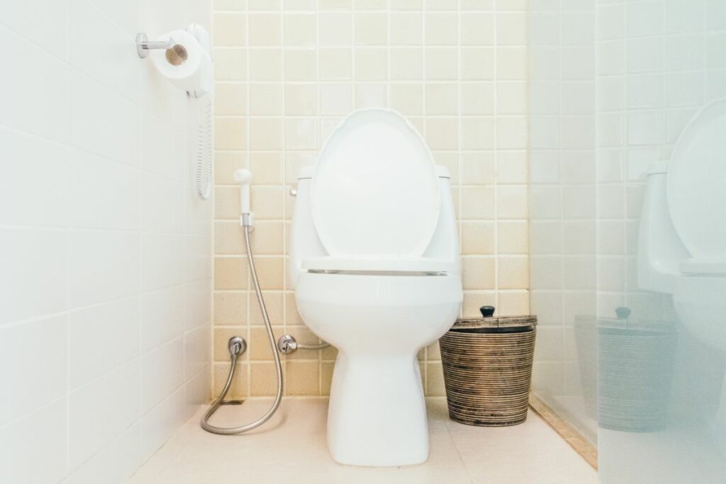 Here’s How You Can Fix Your Leaking Toilet Flapper In Just Four Steps!