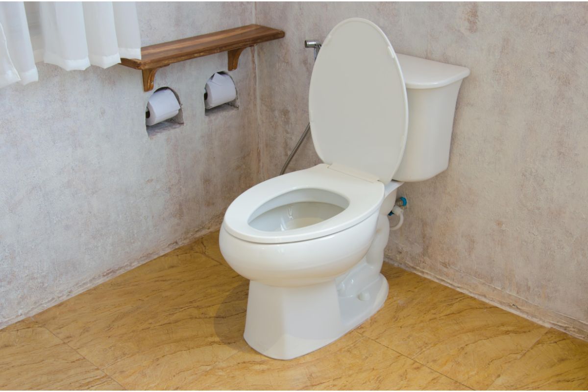 How to Get Rid of Toilet Ring? Fast Results