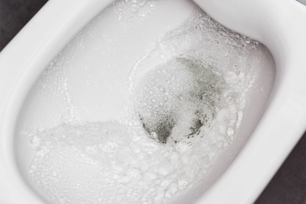 The Causes Of Low Water Levels In Toilet Bowl And How To Fix It
