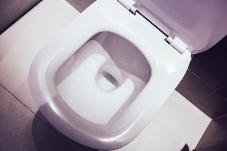 The Causes Of Low Water Levels In Toilet Bowl And How To Fix It