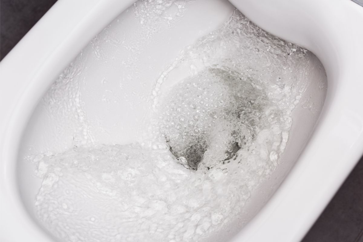 The Causes Of Low Water Levels in Toilet Bowl And How To Fix It