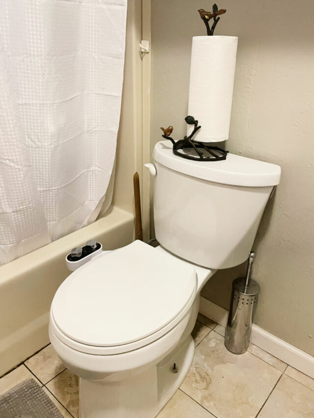 Can You Flush Paper Towels Down the Toilet? Lockdown Loo