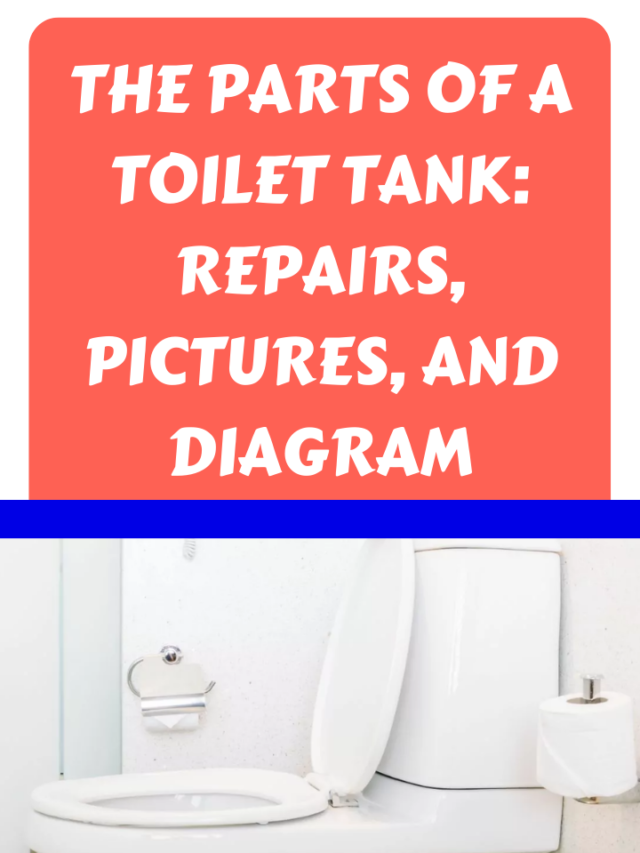 The Parts Of A Toilet Tank: Repairs, Pictures, And Diagram