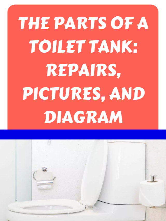 The Parts Of A Toilet Tank Repairs, Pictures, And Diagram Lockdown Loo