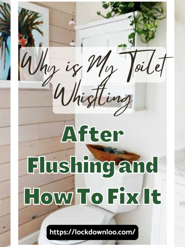 Why is My Toilet Whistling After Flushing and How To Fix It Lockdown Loo