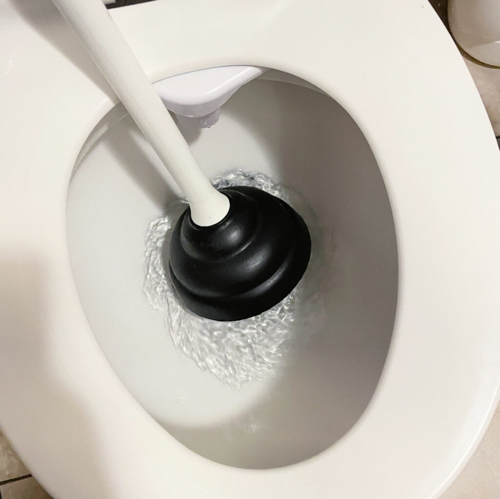 Plunger being cleaned by being submerged in a toilet bowl full of bleach water. 