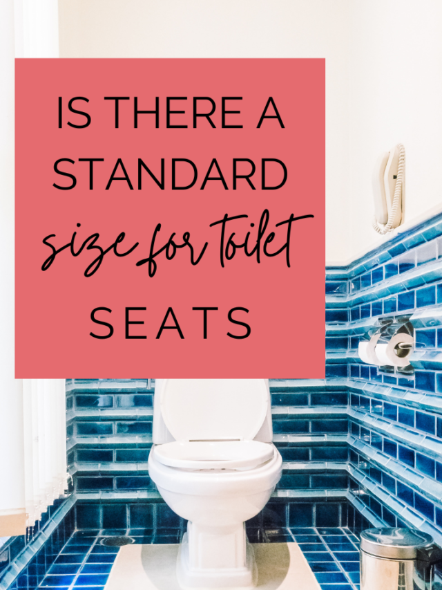 Is There A Standard Size For Toilet Seats? Lockdown Loo