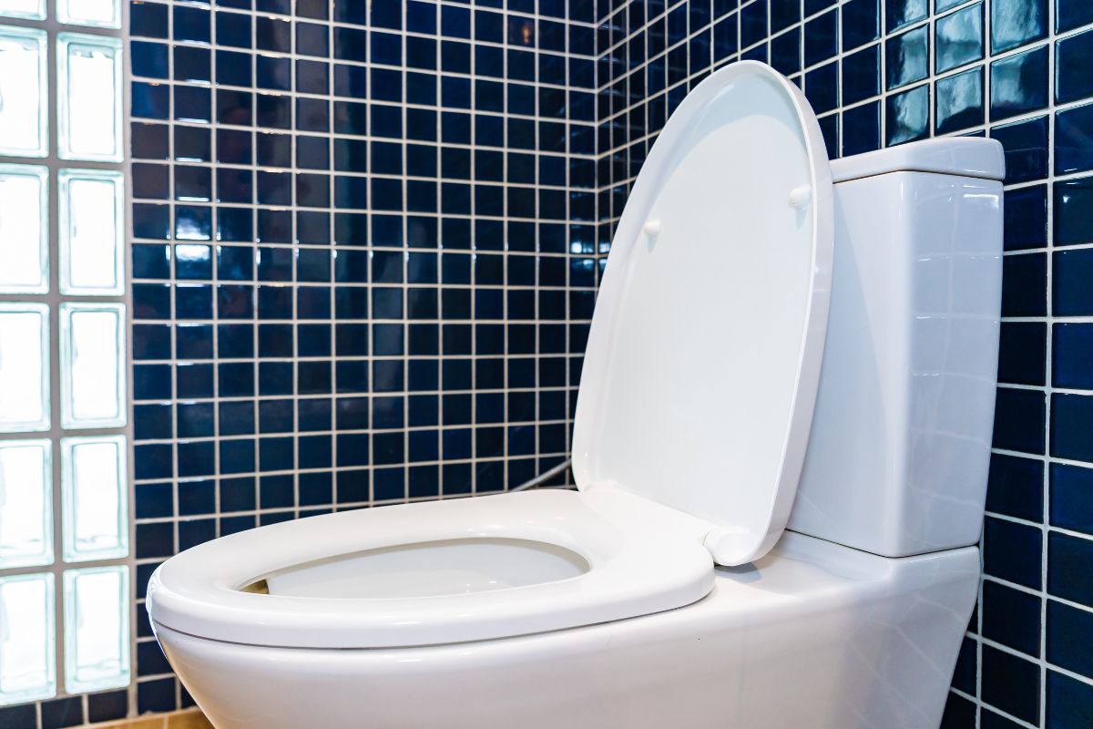 Wood VS Plastic Toilet Seats The Pros And Cons That Matter