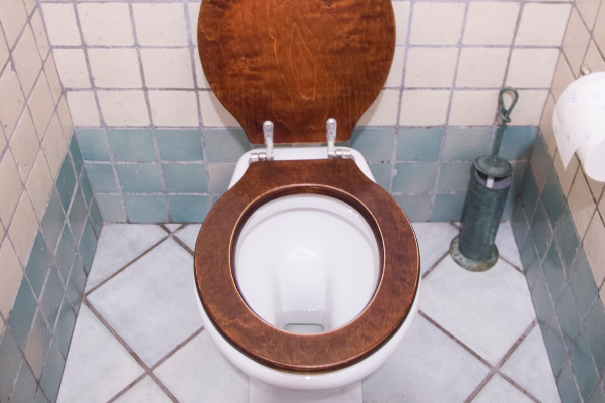 Wood VS Plastic Toilet Seats: The Pros And Cons That Matter