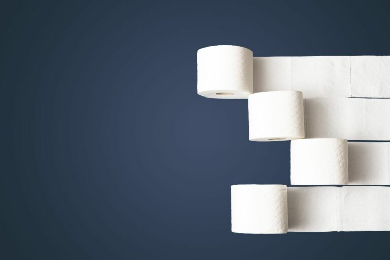 Best RV Toilet Paper Lockdown Loo