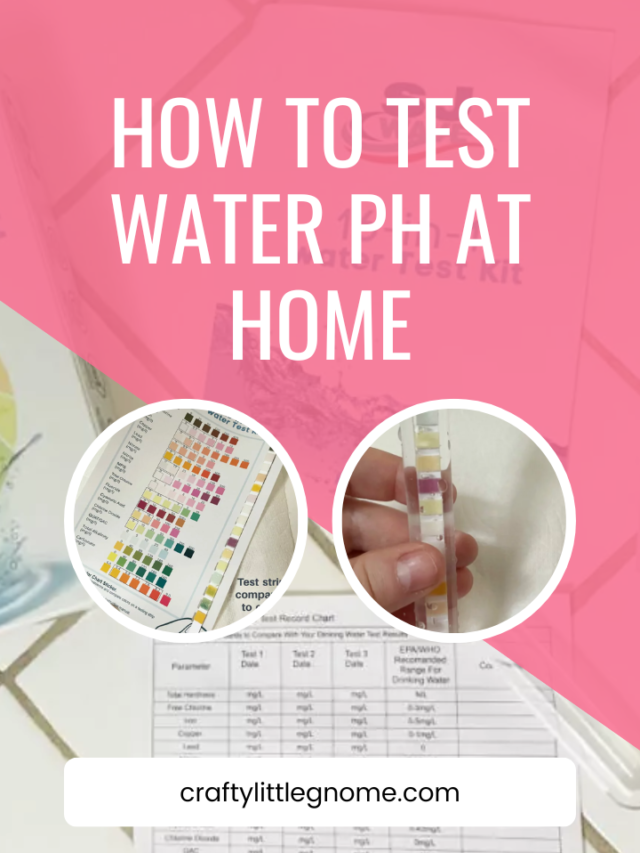 How to Test Water pH at Home