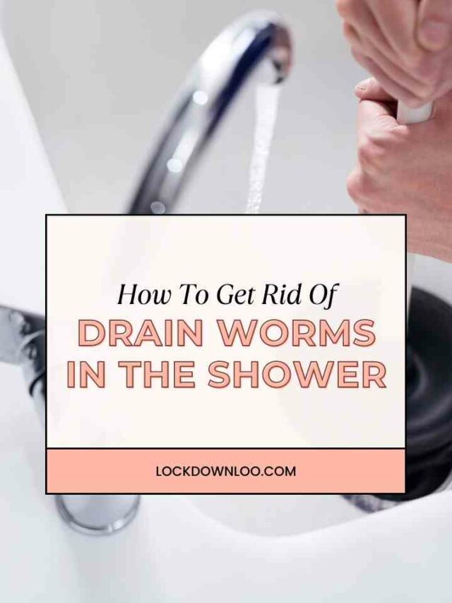 How To Get Rid Of Drain Worms In The Shower (Tiny Black Worms) Lockdown Loo