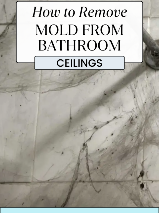 How to Remove Mold From Bathroom Ceilings