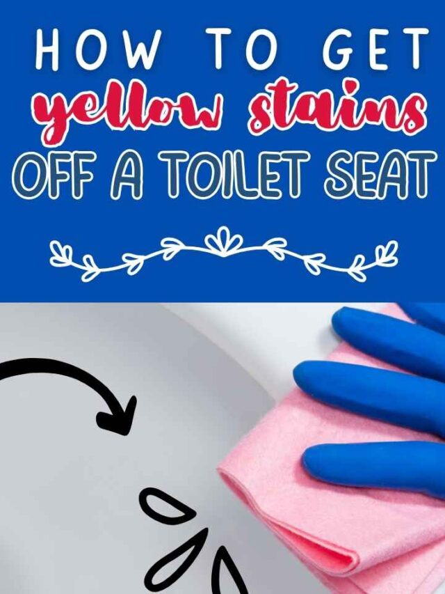 How to get yellow stains off of a toilet seat Lockdown Loo